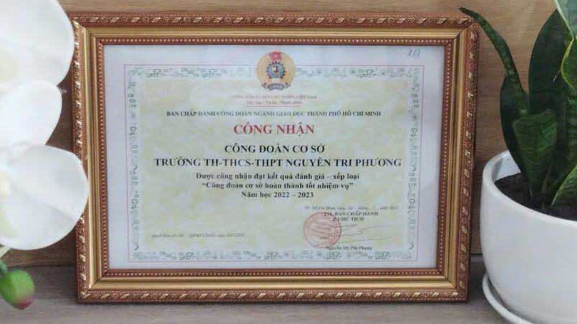 thanh tich cong doan 3