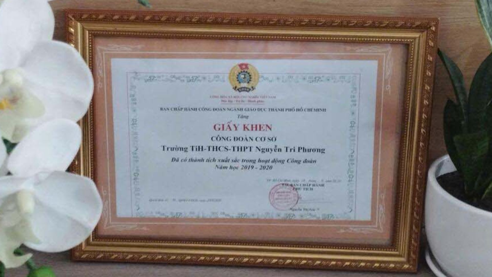 thanh tich cong doan 5